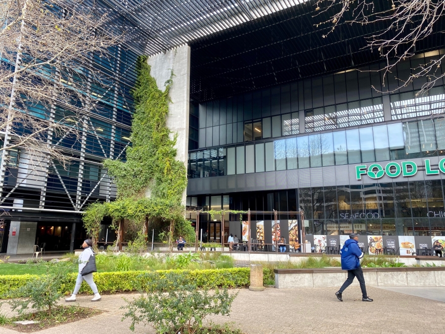 To Let Commercial Property for Rent in Cape Town City Centre Western Cape
